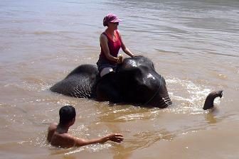 Elephant Washing