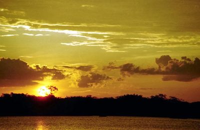 Into the Amazon Basin